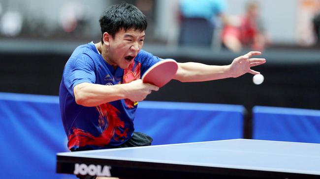 金娜不得不 金娜不得不