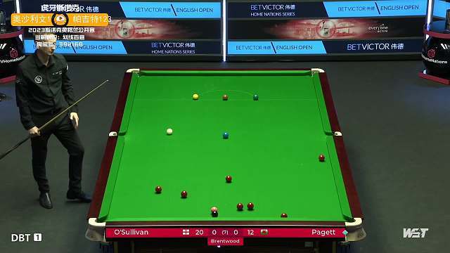 中国乒乓球协会强烈谴责体育领域“饭圈”违法行为